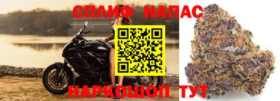 молекула духа Гусев
