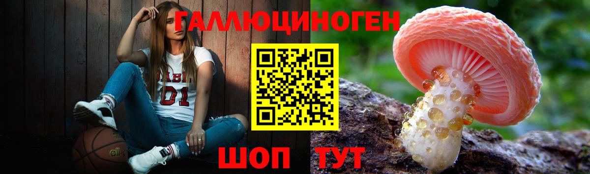 Псилоцибиновые грибы Cubensis  Галлюциногенные грибы мицелий  Вход с VPN  Нальчик 